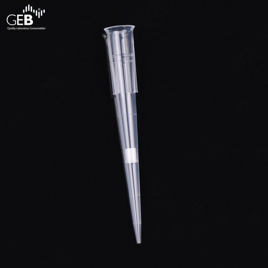 (6) 200ul filter pipette tips FT0200-R-NS-LB