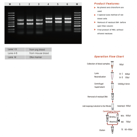 Blood Total RNA Miniprep Kit 50 Preps/Kit