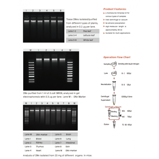 Multisource Genomic DNA Miniprep Kit 100 Preps/Kit